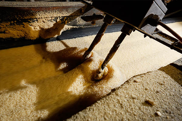 Sugar manufacturing