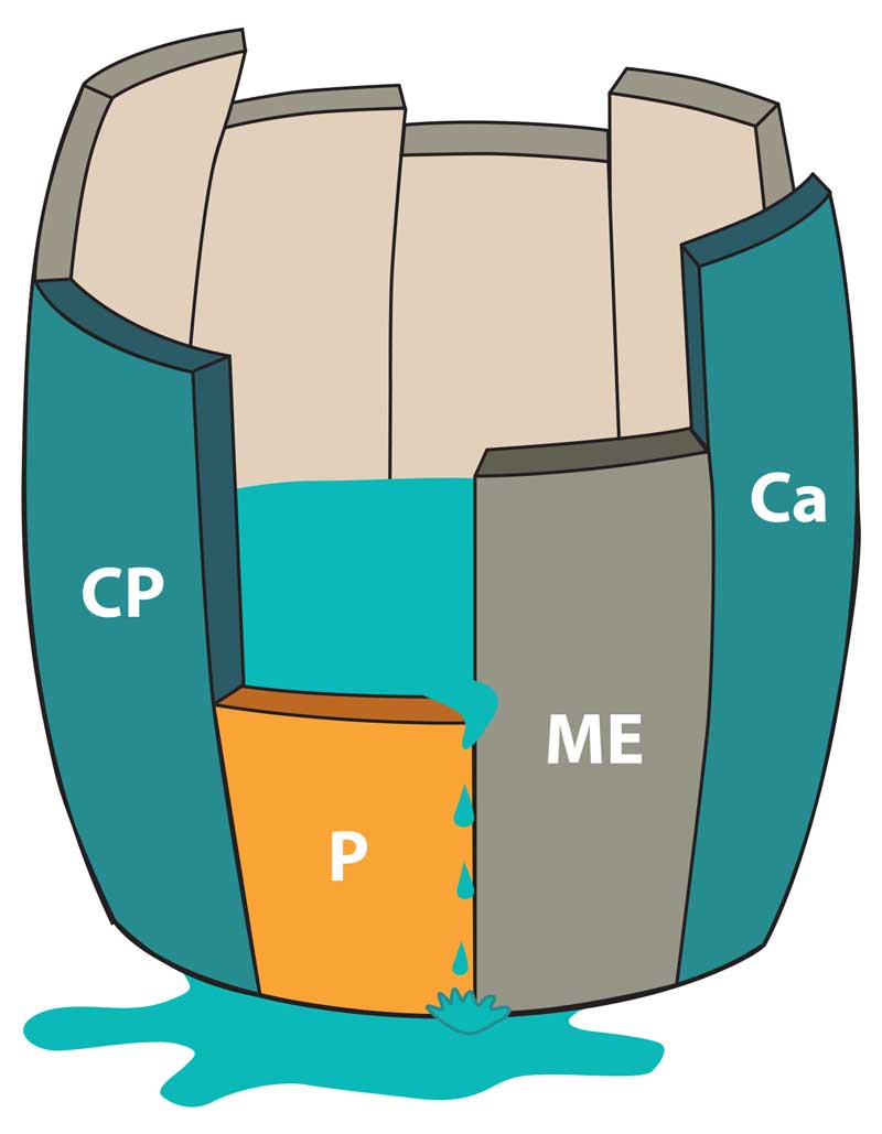 Barrel breeder