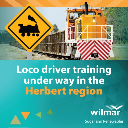 Wilmar Cane train safety 1200x1200 2024 2 Herbert