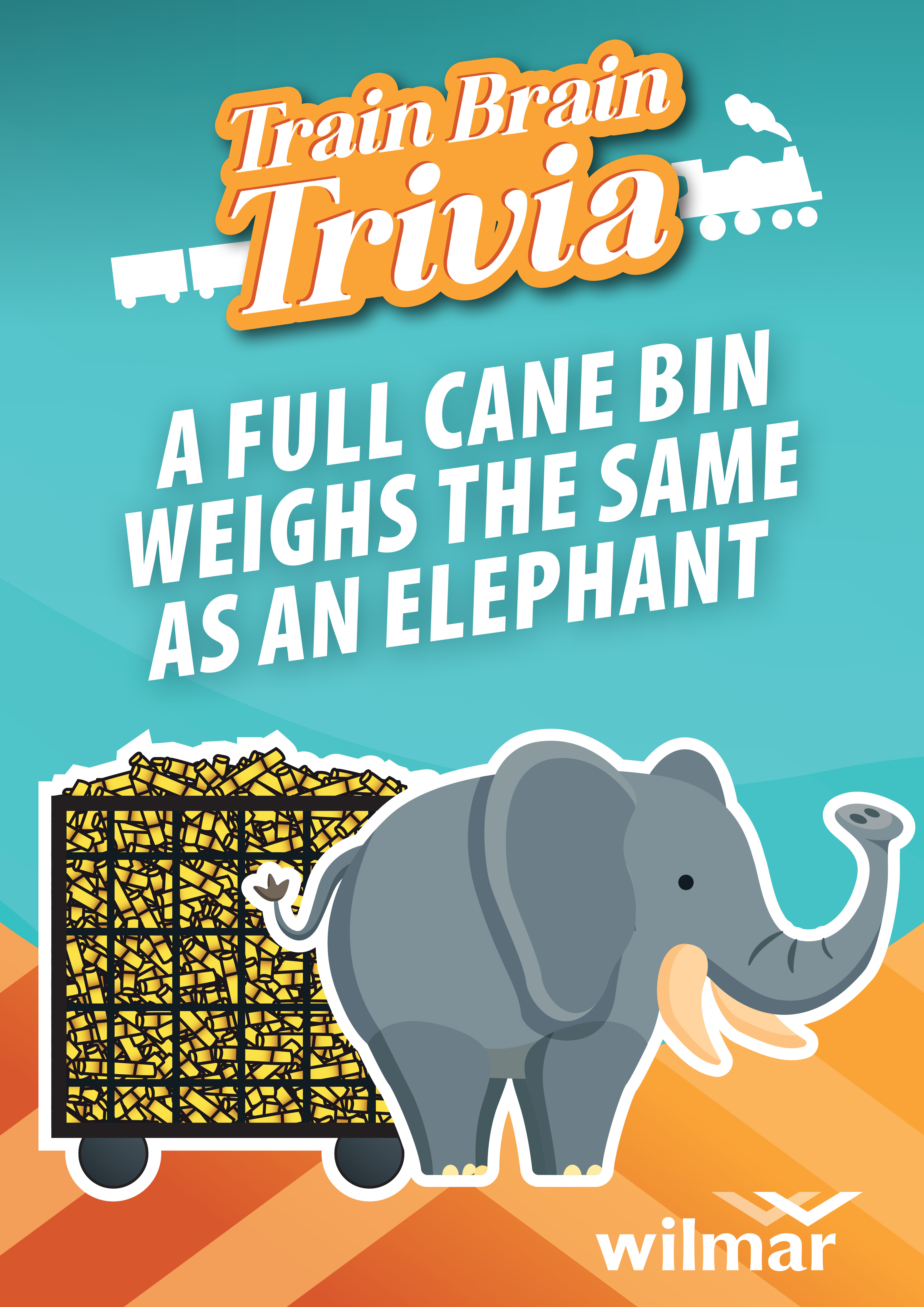 Cane bin = Elephant