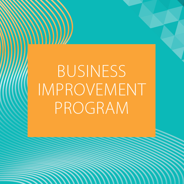 Business Improvement Program