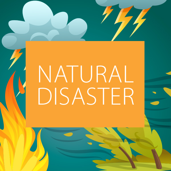 Natural disaster dashboard