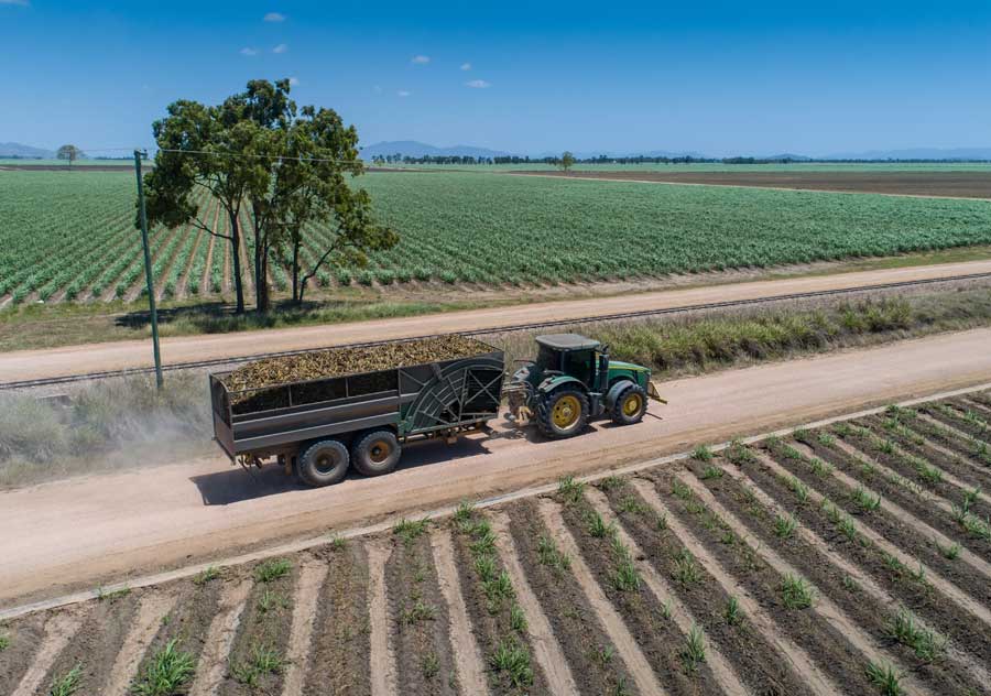 Information Services